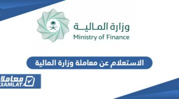 استعلام عن معاملة وزارة المالية في السعودية