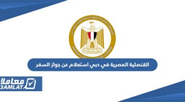القنصلية المصرية في دبي استعلام عن جواز السفر