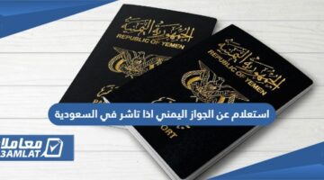 استعلام عن الجواز اليمني اذا تاشر في السعودية