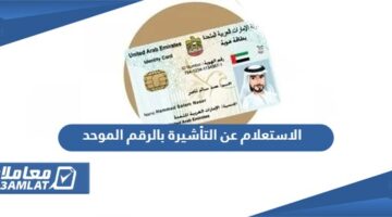 الاستعلام عن التأشيرة بالرقم الموحد في الإمارات